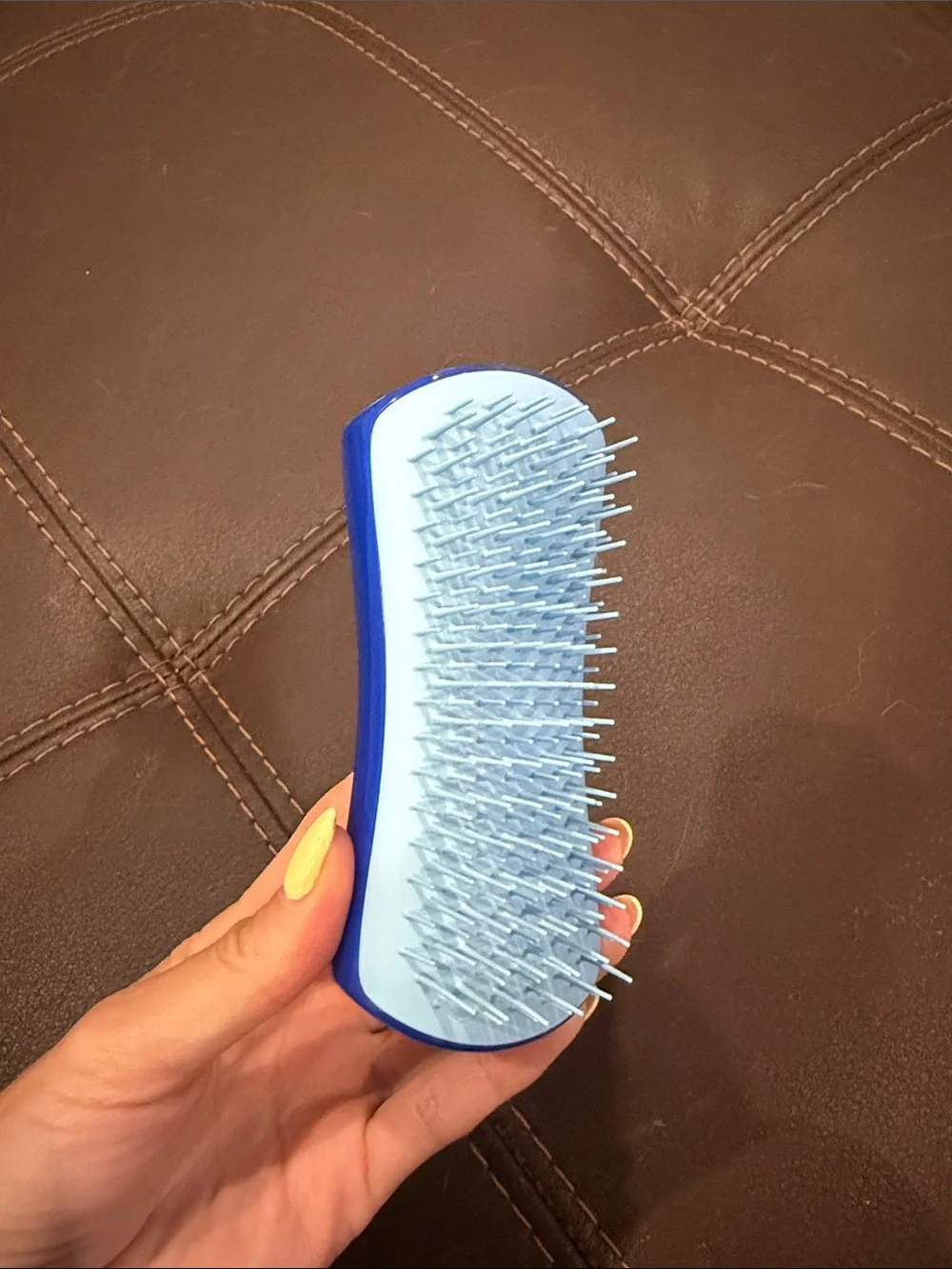 Detangling Dog Hair Brush